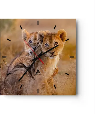 Produktbild von Wanduhr - Quadrat - Glasuhr - Löwe Natur Tier - 40x40cm - Schleichendes Uhrwerk - Lautlos - zum Aufhängen bereit - Dekoration Modern - Wanddekoration aus Glas - C3AC40x40-3480