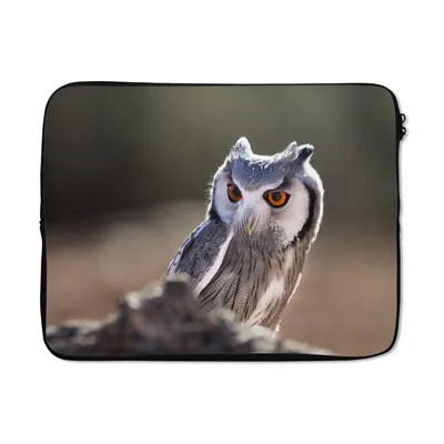 Produktbild von MuchoWow® Laptop Hülle 17 Zoll Laptoptasche Eule - Makro - Tier - Zipper - Schutzabdeckung