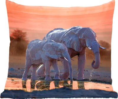 Produktbild von MuchoWow® Zierkissen Sofakissen Wohnzimmer Dekokissen 60x60 cm Elefant - Tiere - Sonnenuntergang - Wasser - Orange - Sitzfläche - Foto Polster