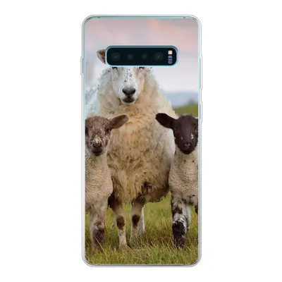 Produktbild von MuchoWow® Handyhülle Schutzhülle Hülle für Samsung Galaxy S10 Lite Schafe - Natur - Schwarz - Weiß Silikon Softcase Handy Hülle - Schutz