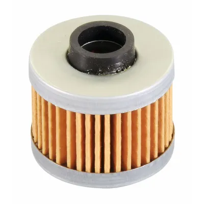 Immagine prodotto di Filtro olio Polini per Aprilia, BMW, Peugeot
