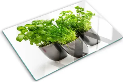 Obrázek produktu pro Kryt varné desky – Kryt na indukční desku – Ochranná skleněná deska – 80x52 cm– Skleněné ochranné desky na sporák –Tvrzené sklo –Bylinky v květináčích