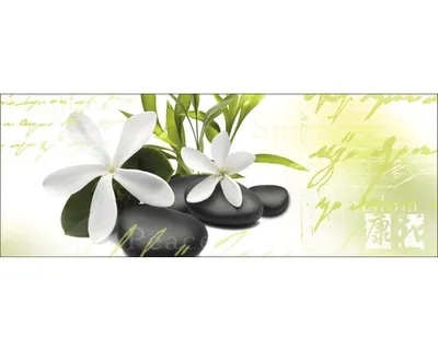 Produktbild von Glasbild Feng Shui I 125x50 cm