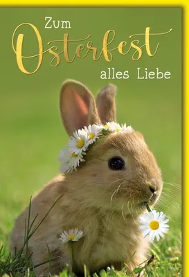 Produktbild von Ostern - Karte mit Umschlag - Hase mit Gänseblümchen