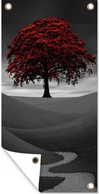 Produktbild von MuchoWow® 30x60 cm Outdoor-Poster Gartendeko Sichtschutz Garten Poster für den Garten  Schwarz-Weiß-Foto mit einem roten Baum