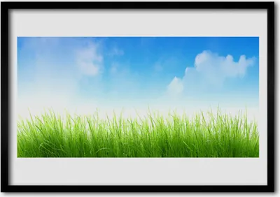 Produktbild von Bild 70x50 MDF-Rahmen Wandkunst Gras Natur Pflanze