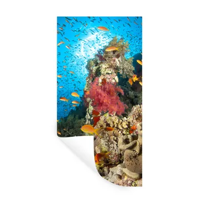 Produktbild von MuchoWow® Wandtattoo Wandsticker Wandaufkleber Koralle mit Fischen 20x40 cm Selbstklebend und Repositionierbar - Selbstklebend - Fototapeten