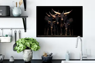 Produktbild von MuchoWow® MuchoWow® Gerahmtes Poster Kühe - Watussi - Schwarz 60x40 cm - Poster mit zchwarzem Bilderrahmen - Printing - Wanddeko Schlafzimmer