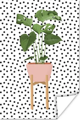 Produktbild von MuchoWow® Poster Pflanze - Monstera - Blumentopf 80x120 cm - Papierdruck