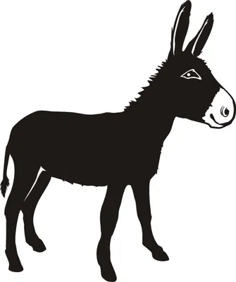 Produktbild von Autoaufkleber - Esel - Maultier - Spanien - Kleinpferd