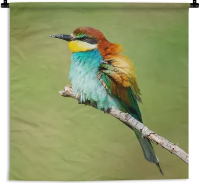 Produktbild von MuchoWow® Wandteppich Wandbehang Vogel - Tiere - Bienenfresser 150x150 cm Tapisserie Dekoration Wandtuch - Wohnaccessoires - Modernes