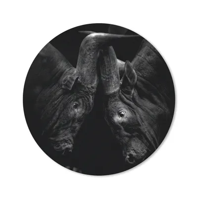Produktbild von MuchoWow® Mauspad Mousepad Tiere - Dschungel - Kühe - Schwarz - Weiß 50x50 cm - Mousepads - Maus Mat - Pad - Mausunterlage - Vinyl