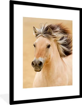 Produktbild von MuchoWow® Gerahmtes Poster Pferde - Tiere - Mähne - Porträt 60x80 cm - Poster mit Schwarzem Bilderrahmen Wandposter Rahmen Foto Bilder - Wohnzimmer - Dekorationen - Prämie