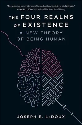 Obrázek produktu pro The Four Realms of Existence
