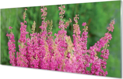 Produktbild von Glasbilder 100x50 Wandkunst Blumen heathers