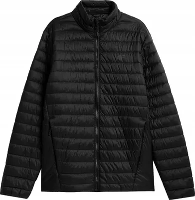 Produktbild von 4F - daunenartige Herren Winter Steppjacke
