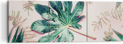 Produktbild von Bild auf Leinwand - Leinwandbild - 3 Teile - Blatt Tropisch Palme - 120x40cm - Wand Bild - Wanddeko - Wandbilder - Leinwanddruck - Bilder - Wanddekoration - Leinwand bilder - Wandbild - CA120x40-4314