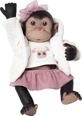 Immagine prodotto di Bambola reborn con cuffietta e gonna a scimmia