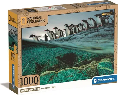 Immagine prodotto di 1000 pezzi. CB HQC NG Pinguini