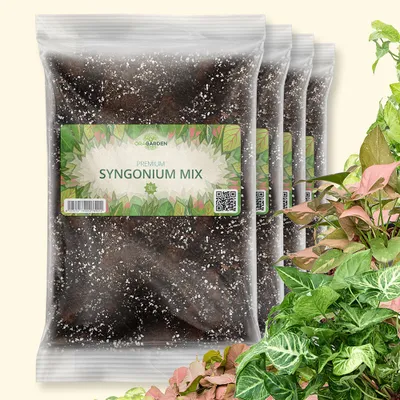 Produktbild von OraGarden Syngonium-Erde 12 LiterOraGarden Syngonium-Erde 3 Liter (Копировать)