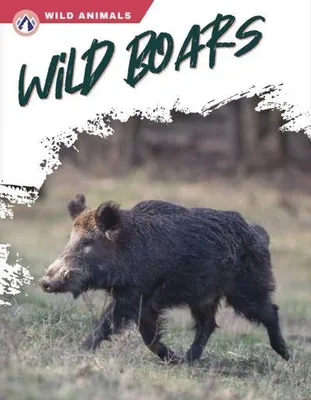Obrázok produktu pre Wild Boars