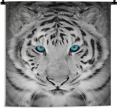 Produktbild von MuchoWow® Wandteppich Wandbehang Tiere - Tiger - Augen - Blau - Schwarz und weiß 60x60 cm Tapisserie Dekoration Wandtuch - Dekorationen - Wand Decke