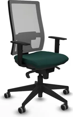 Image de Bürostuhl Piqueras y Crespo 1D066G0 grün