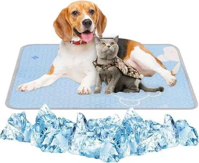 Produktbild von Famanu Kühlmatte für Hunde - Selbstkühlende Matte, 70 x 50 cm für Hunde und Haustiere