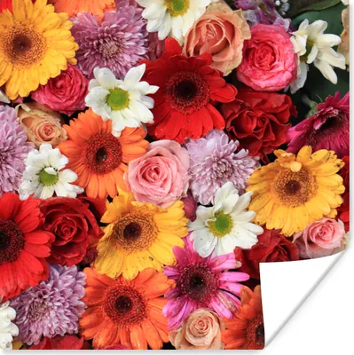 Produktbild von MuchoWow® Poster Blumen - Farben - Gerbera - Rosen 100x100 cm - Babyzimmer