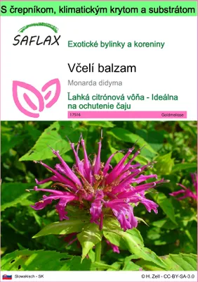 Obrázok produktu pre SAFLAX Garden to go - včelí balzam - Monarda didyma - 20 Semená - S črepníkom, klimatickým vekom a pestovateľským substrátom