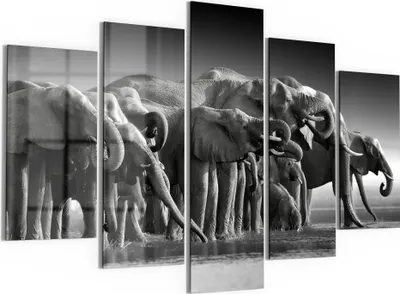 Produktbild von DEQORI Glasbilder 5-tlg 150x100 cm 'Elefantenherde am Wasser' Wandbilder XXL groß