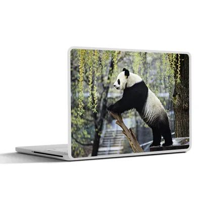 Produktbild von MuchoWow® Laptop Aufkleber Sticker Cover Panda - Fluss - Baum 30x21 cm - Sticker für Laptop - Selbstklebend