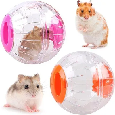 Immagine prodotto di Set da 2 palline da gioco per criceti