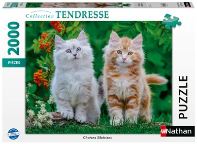 Image de Nathan - Puzzle de 2000 pièces - Chatons sibériens - 14 ans et plus - Puzzle de qualité supérieure - Collection Tenderness - 12001868