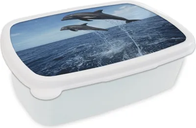 Produktbild von KitchenYeah® Lunchbox Brotzeit Brotdose 17x11 cm Delfin - Meer - Tier Kinder Brotzeitdose - Lunch Box - Kinder - Sandwich-Box - Schulbox - Lunch Boxen
