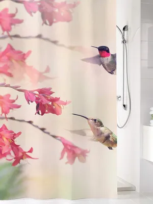 Produktbild von Duschvorhang KOLIBRI mehrfarbig rosa Textil 100% Polyester 180 x 200 cm