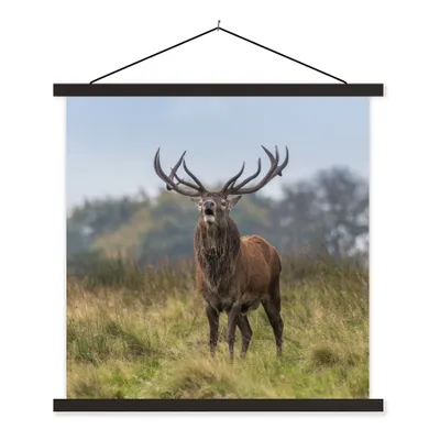 Produktbild von MuchoWow® Textilposter Hirsche - Geweihe - Gras 60x60 cm mit schwarzem Rahmen - Posteraufhänger
