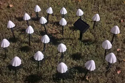 A string of mushroom-shaped solar lights arranged on a grassy lawn.