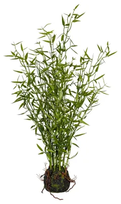 Produktbild von Künstlicher Miniblatt-Bambus ca. 60cm im Moosballen