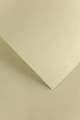 Obrázek produktu pro Galeria Papieru ozdobný papír Florida béžová 250g, 20ks