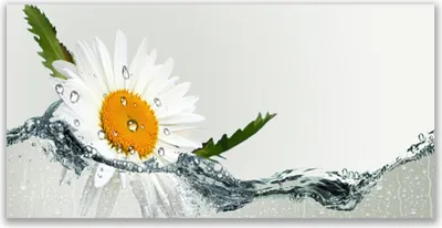 Produktbild von Tulup Leinwand-Bilder 140x70 Wandbild Canvas Kunstdruck Gänseblümchen Wasser Kunst