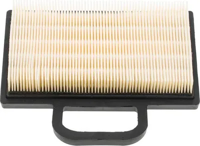 Imagen del producto de Filtro de aire B&S para motores de 18-22 HP, modelo INTEK V-Twin OHV, referencia 8R01-15