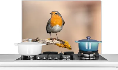 Produktbild von KitchenYeah®  Spritzschutz Küche - Küchenrückwand - Wandschutz für Herd und Spüle - Rotkehlchen - Vogel - Zweig - Tiere 90x60 - Alu-Dibond (Alternative zum Spritzschutz aus Glas) - Hitzebeständig - He
