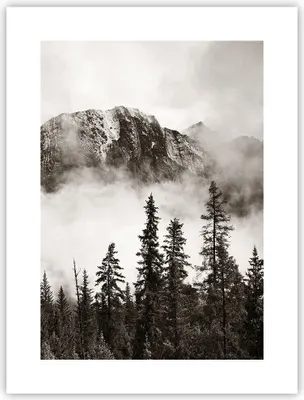 Produktbild von Poster - Poster ohne Rahmen - Nebel Berg Wald - 30x40 cm - Wand Bild - Wanddeko - Wandbilder - Kunstposter - Wandposter - Bilder - Kunstdruck - Wanddekoration - Wandbild - P2XPA30x40-4936
