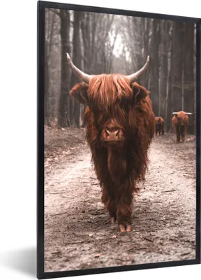 Produktbild von MuchoWow® Gerahmtes Poster Schottischer Hochländer - Wald - Kuh - Tiere - Natur 60x90 cm - Poster mit Schwarzem Bilderrahmen Wandposter Rahmen Foto Bilder - Kunst