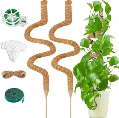 Produktbild von Famanu Pflanzenstütze 2 Stück - 120 cm - Kokos - Biegsam - Pflanzenstützen - Zubehör