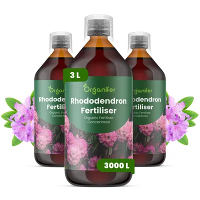 Produktbild von Rhododendren Flüssigdünger 3x1L – 2-1-8 NPK – Flüssig-Pflanzendünger für Rhododendren – Organifer