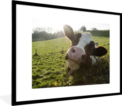 Produktbild von MuchoWow® MuchoWow® Gerahmtes Poster Kuh - Licht - Landschaft 80x60 cm - Poster mit zchwarzem Bilderrahmen - Schlafzimmer-Dekorationen - Fotoposter