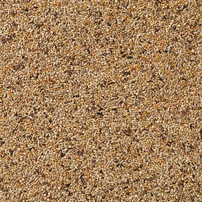 Productafbeelding van Deli Nature Exoten APV Gould 84 20KG