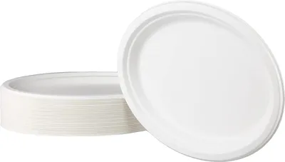 Obrázek produktu pro Talíř z cukrové třtiny oválný 32 cm - 50 ks